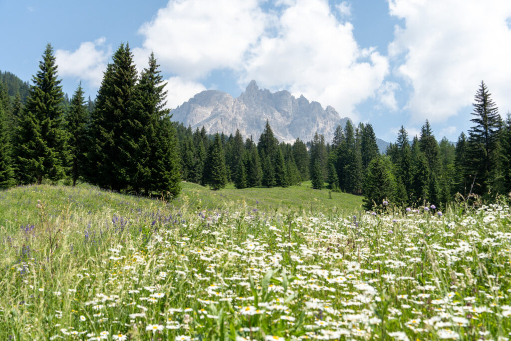 2022-06-19 Cortina Dolomiti Utratrekking_1600x1200_96dpi-55.jpg
